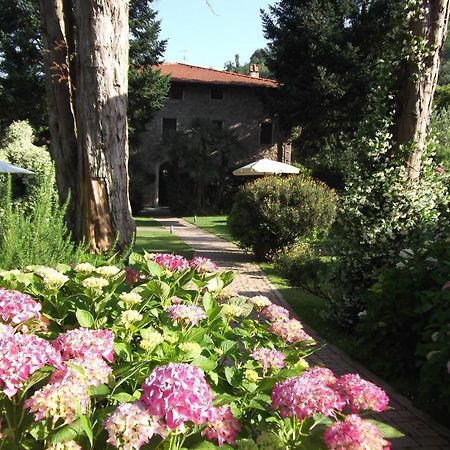 L'Arcadia ξενώνας Pietrasanta Εξωτερικό φωτογραφία