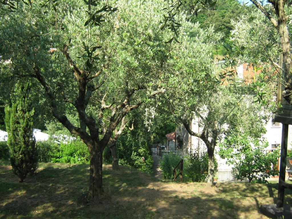 L'Arcadia ξενώνας Pietrasanta Εξωτερικό φωτογραφία