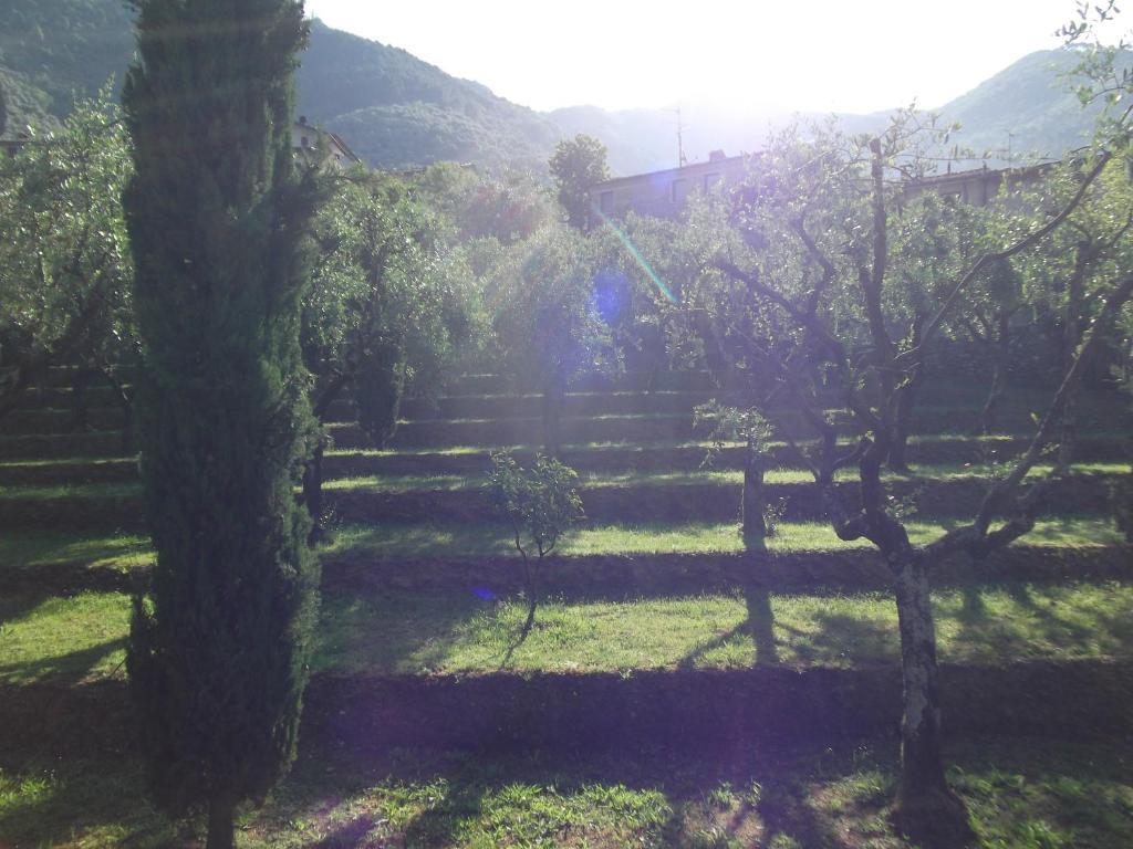 L'Arcadia ξενώνας Pietrasanta Εξωτερικό φωτογραφία